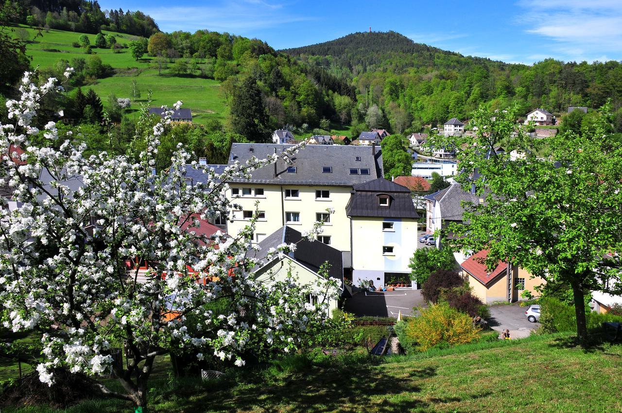 Logis Hotel - Restaurant Aux Bruyeres Orbey Buitenkant foto